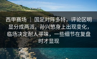 西甲赛场 ｜ 国足对阵多特，评论区明显分成两派，孙兴慜身上出现变化，临场决定耐人寻味，一些细节在复盘时才显现
