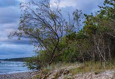 欧冠 ｜ 多特 vs 巴黎，这一幕太突然，约基奇突然发生新情况，背后原因不简单